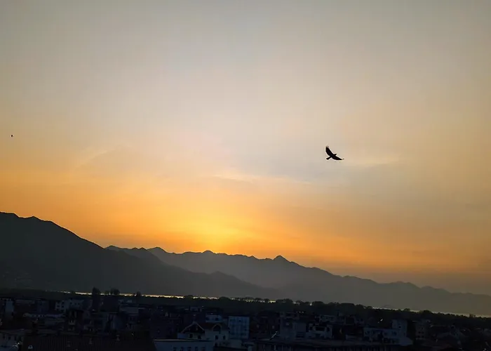 Arbi's Lejlighed Shkodër